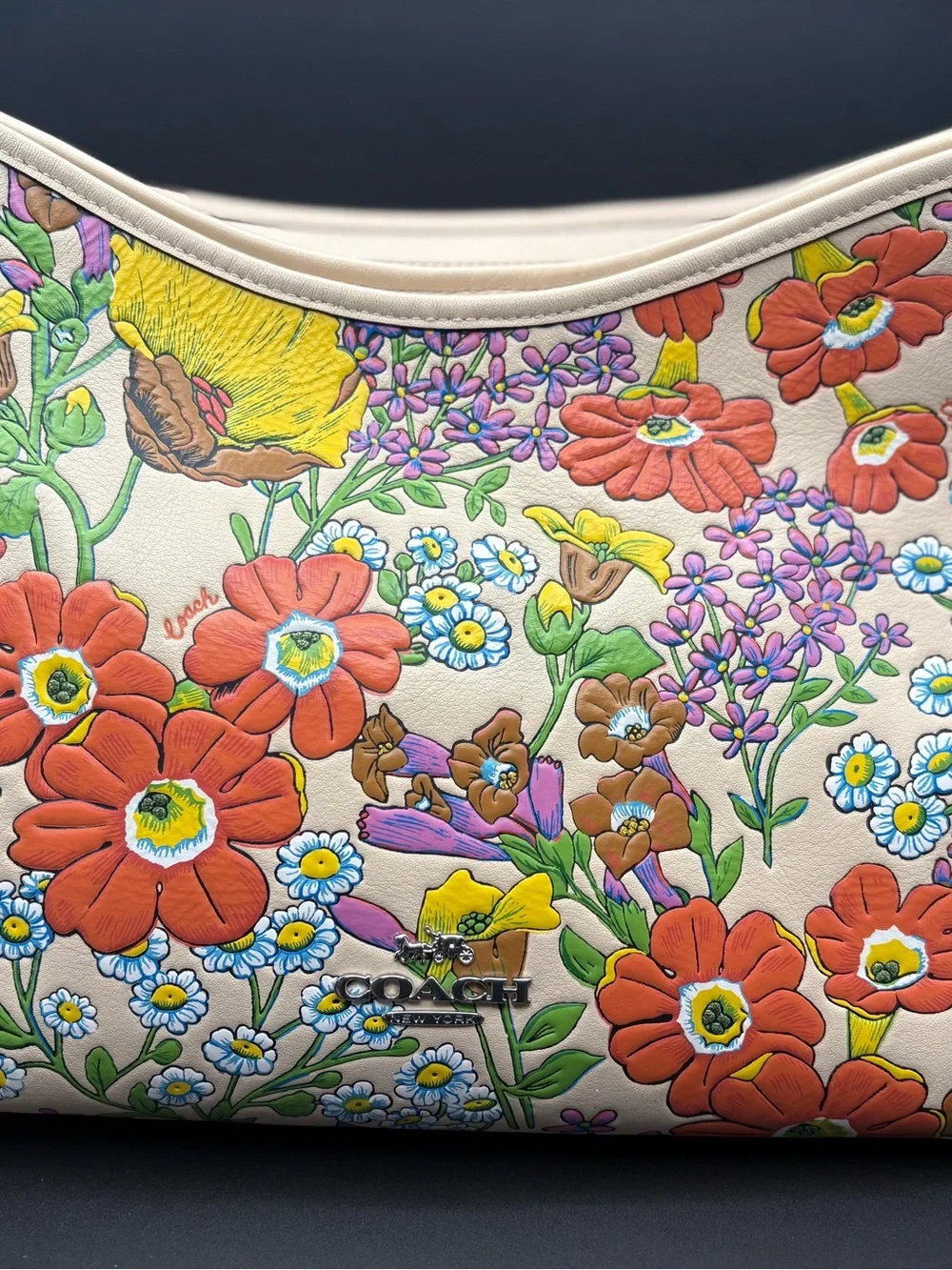 Coach Leather Penelope CT222 Multi Floral Wildflower Print Shoulder Bag
